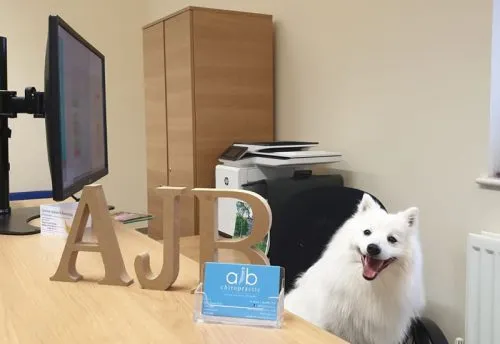 Arlo